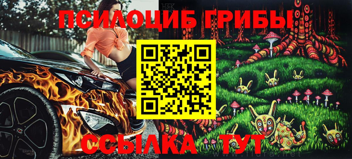 Ковров  Псилоцибиновые грибы MAGIC MUSHROOMS  Вход с VPN 